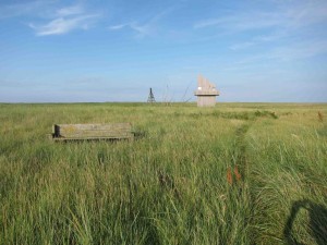 Landschap op Griend
